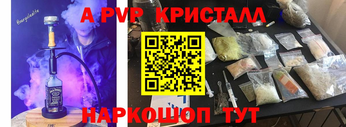 Alfa_PVP СК Коммунар